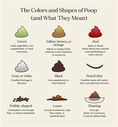 why is my poop dark green.